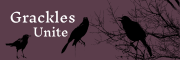 Grackles unite